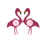 Ochelari flamingo fuchsia