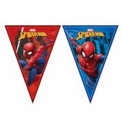 Banner stegulete Spiderman Team Up