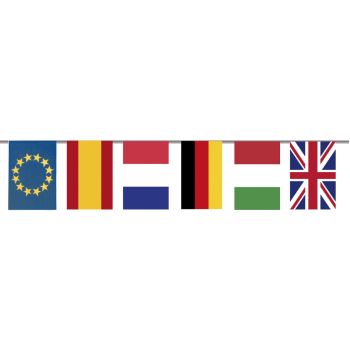 Banner stegulete internationale - 5 m
