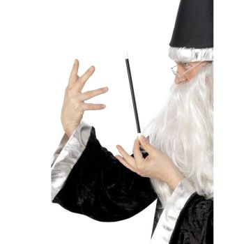Bagheta magician