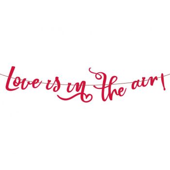Banner Love is in the air - 200 cm
