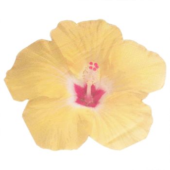 16 Șervețele Flori Hibiscus