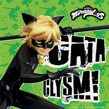 Servetele Cat Noir