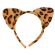 Cordeluta leopard