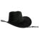 Palarie neagra cowboy