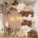 100 baloane caffe Gemar - 26 cm