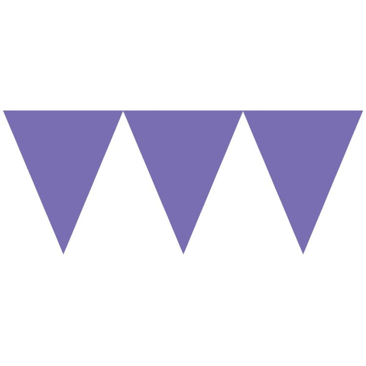 Banner violet 4.5 metri
